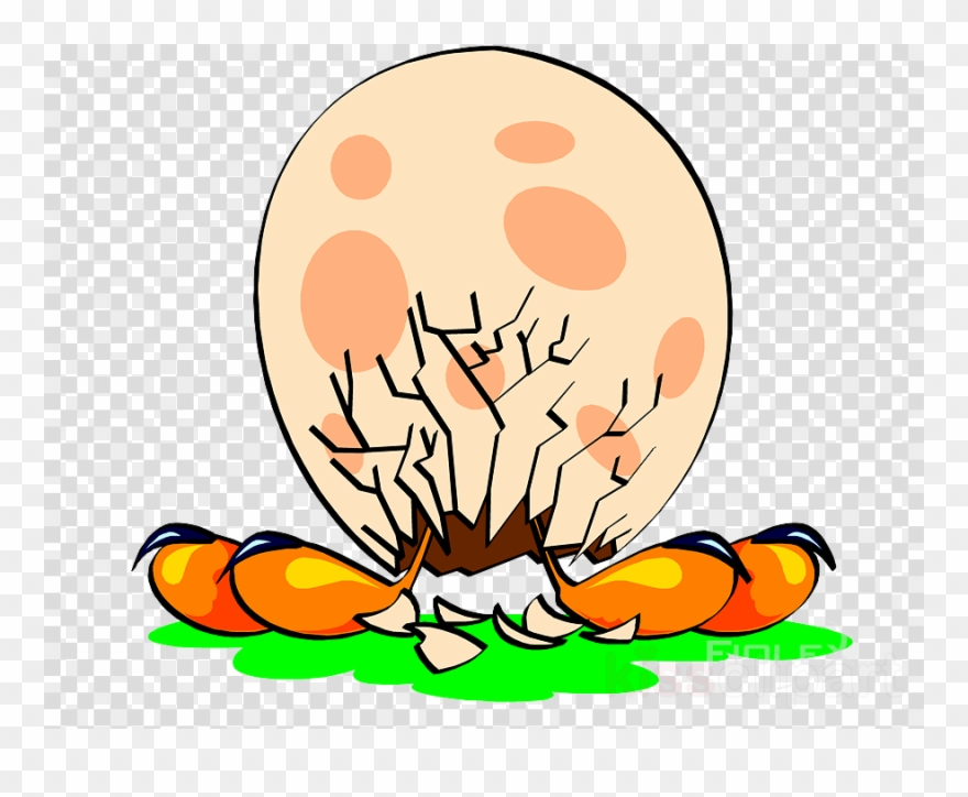 Bird Clipart Bird Eggshell Clip Art - Bird - Png Download