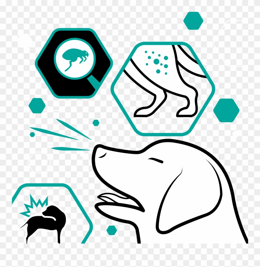 Banner Banner - Allergy Clipart