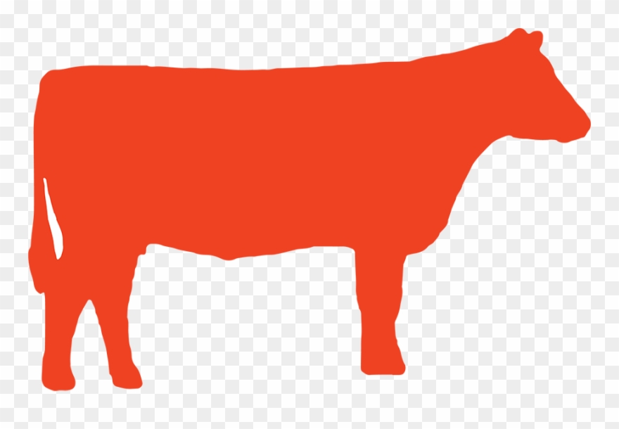 2017 Quivira Conference Clipart