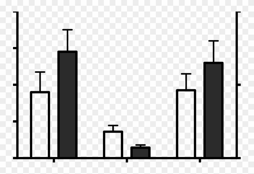 Maternal And Cord Blood Erythrocyte , And Placental Clipart