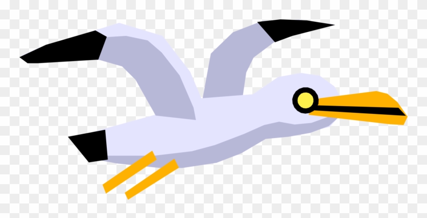 Vector Illustration Of Cartoon Feathered Vertebrate - Clip Art - Png Download