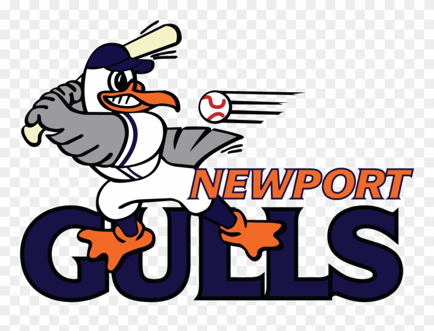 Image Result For Newport Gulls - Newport Gulls Logo Clipart