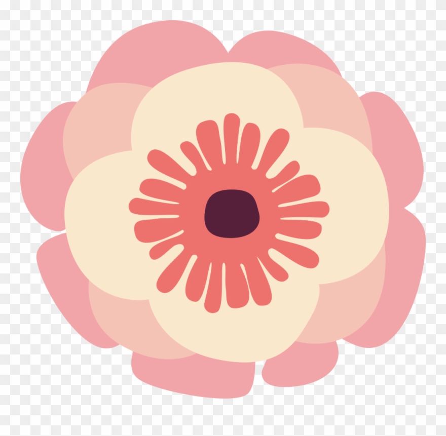 Barberton Daisy Clipart
