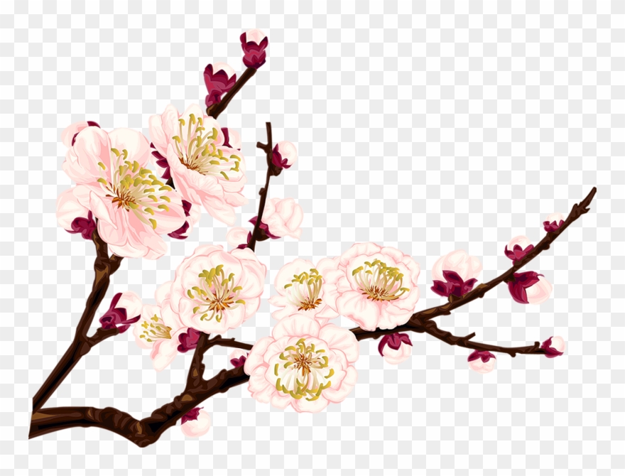 Gifs Fleurs Et Nature Gifs Fleurs Et Nature - Blancho Bedding Wintersweet Flower - Wall Decals Stickers Clipart