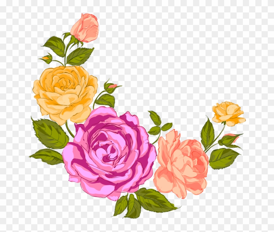 Drawing Compositions Flower Vector Transparent Library - Garden Roses Clipart