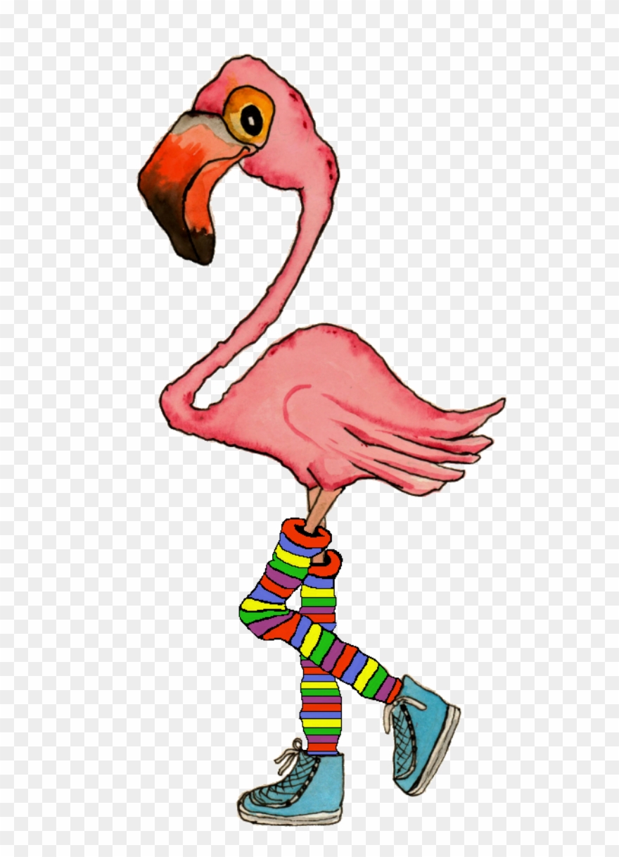 Clip Art Flamingo - Png Download