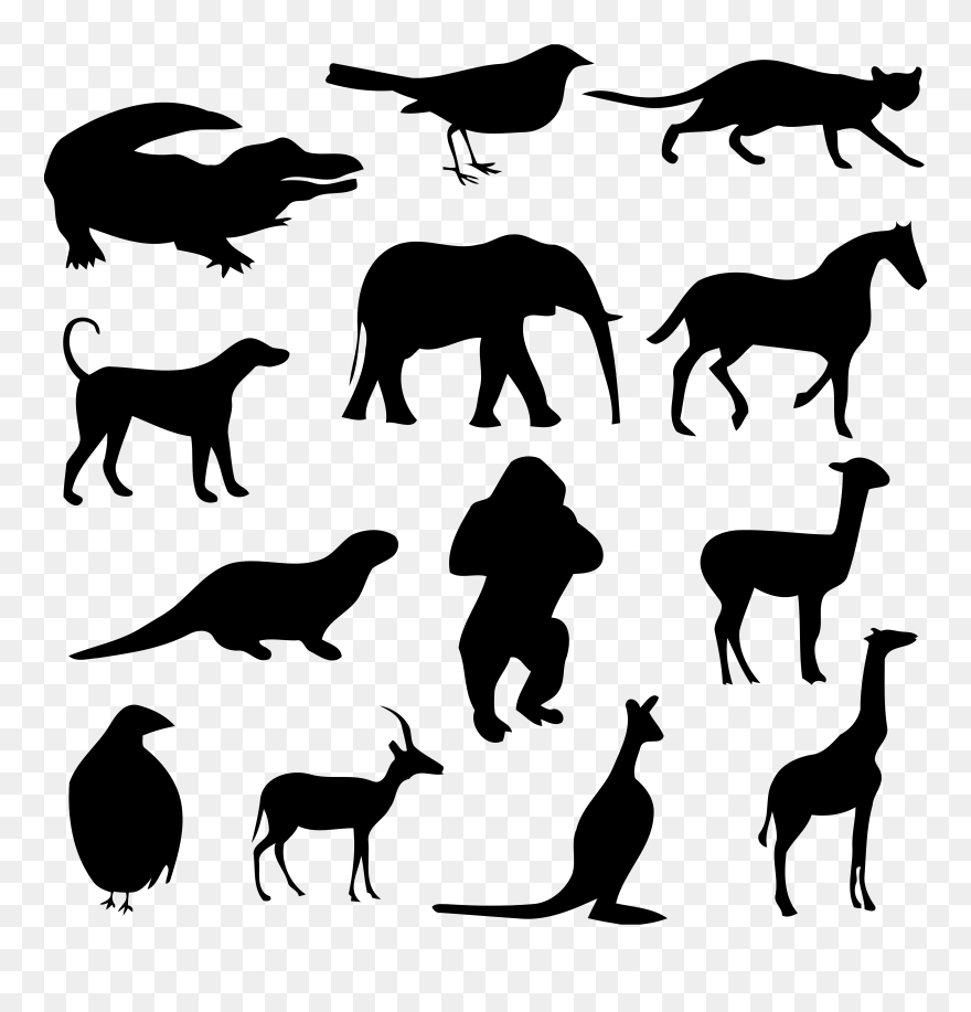 Medium Image - Animals Silhouette Png Clipart