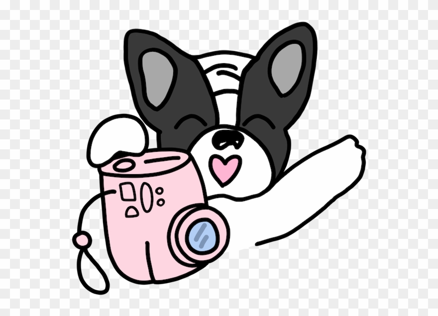 Frenchie Travel Stickers By Yeah Bunny Messages Sticker-4 - Travel Stickers Png Transparent Clipart