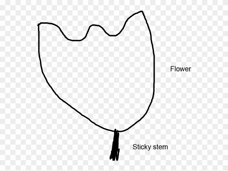 Diagram Of A Mountain Laurel Flower Clipart