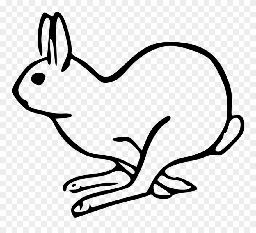 Rabbit Clip Art - Png Download