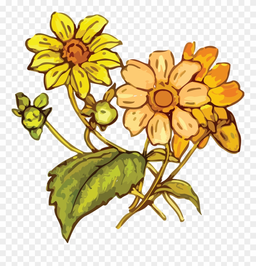 Free Clipart Of A Flowering Plant - Png Download