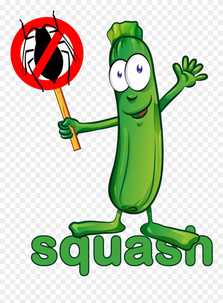 Io Is A Boston-based Tech Startup, Currently In Stealth - Zucchini Cartoon Clipart