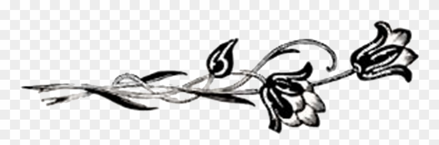 Tulips B&amp - Bowers & Wilkins Clipart