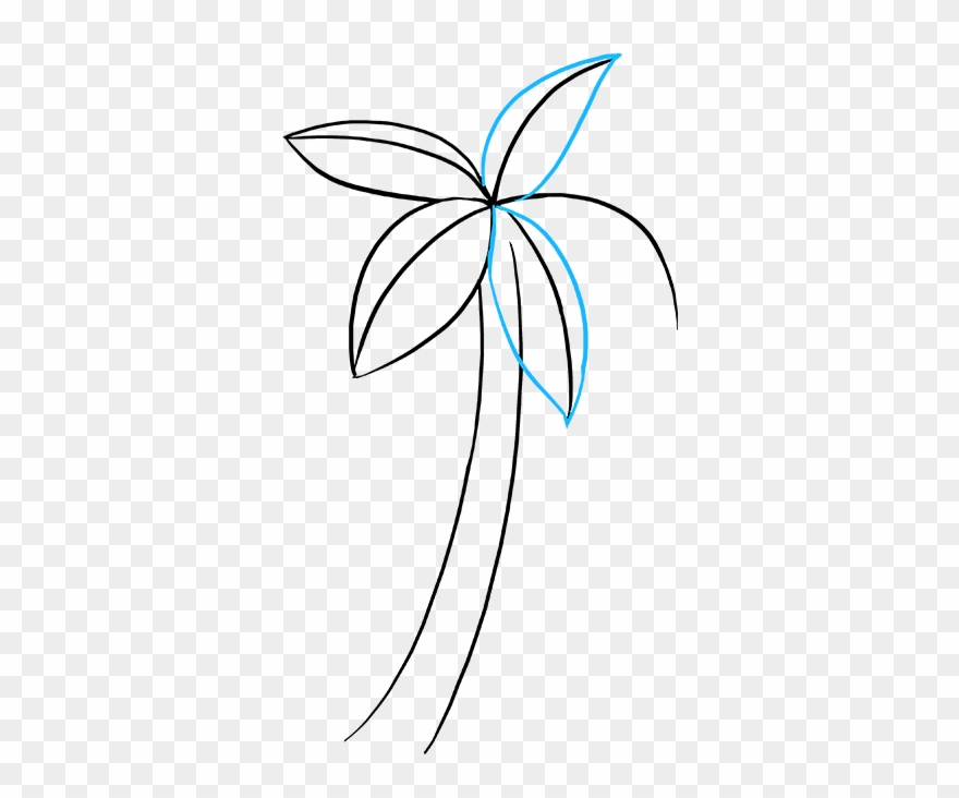 How To Draw Palm Tree - Drawing Clipart