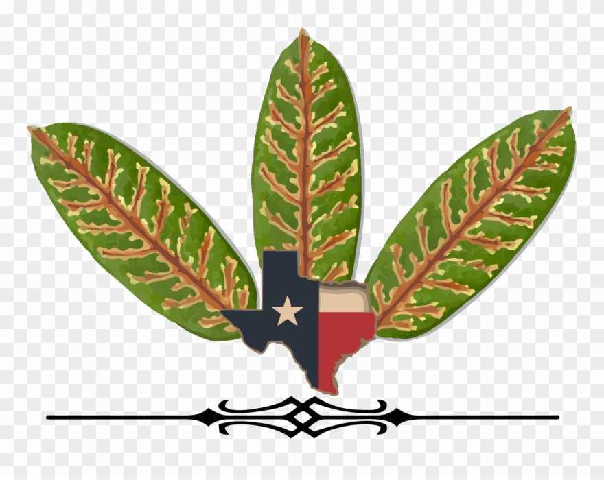 Wilt Disease Clipart