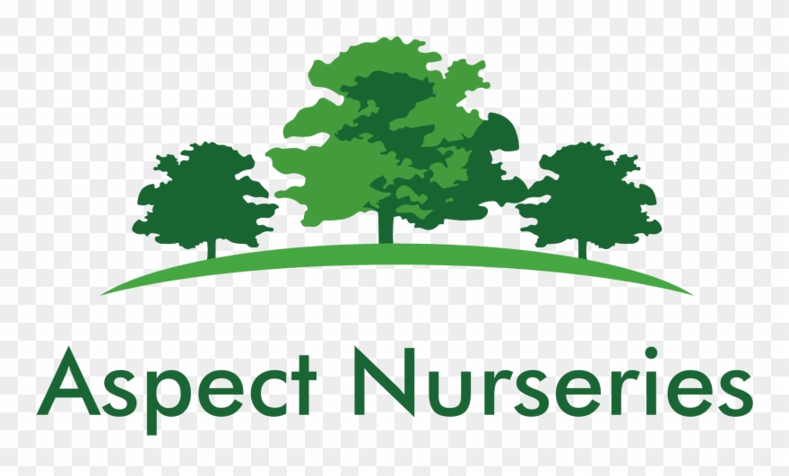 Shady Square Sticker 3" X 3" Clipart