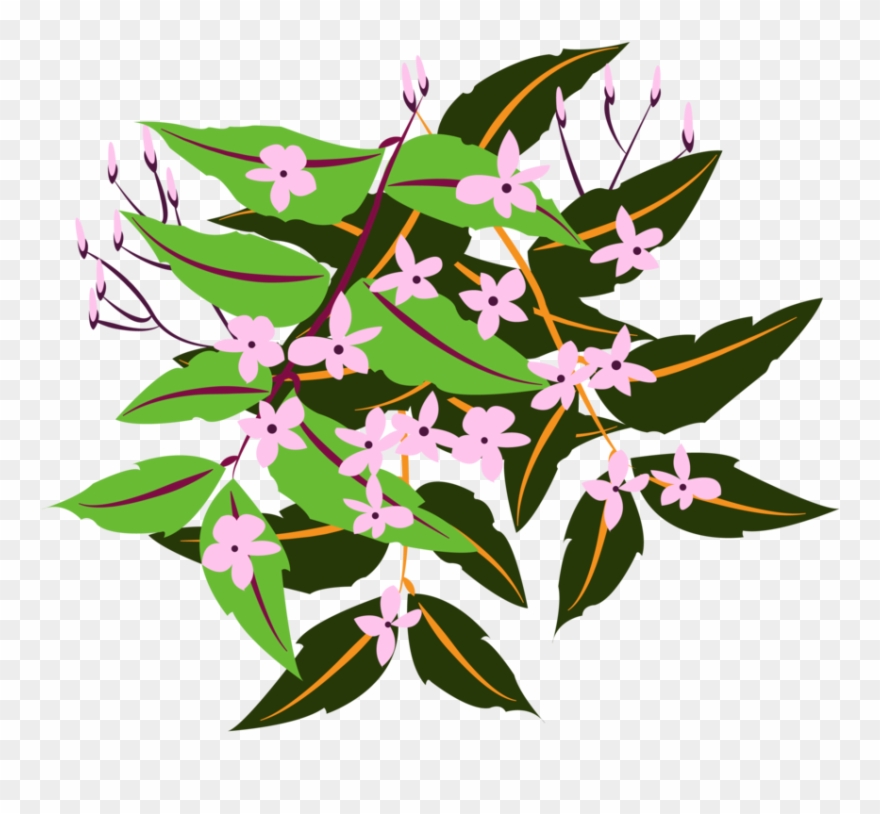 Arcadia Is A Nursery Where All The Plants Are Free - Lily Family Clipart