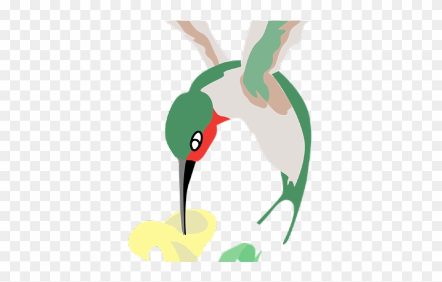 Hummingbird Clipart Bee - Hummingbird - Png Download