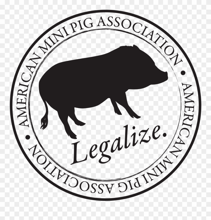 Order Mini Pig Owners Guide - Municipality Of Burgos Surigao Del Norte Clipart
