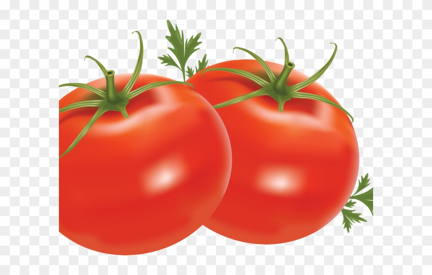 Tomato Clipart Harvest Food - Tomato Png Transparent Png