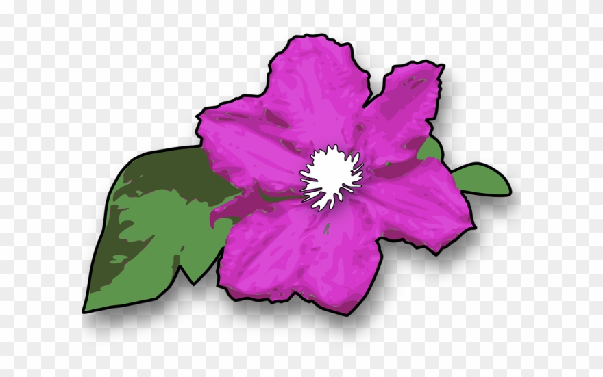 Purple Flower Clipart Purple Plant - Jungle Flowers Clip Art - Png Download
