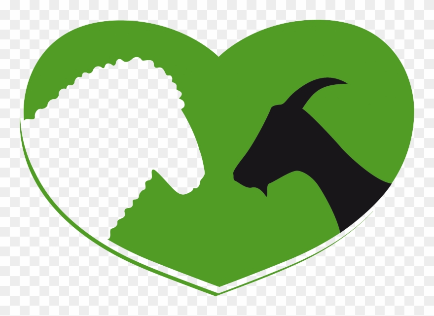 Herzlich Willkommen Beim Steirischen Schaf- Und Ziegenzuchtverband - Schafzucht Clipart