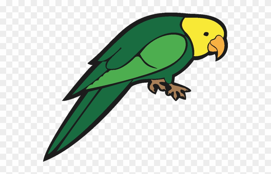 Parrot Clipart Easy - Vector Images Of Parrot - Png Download