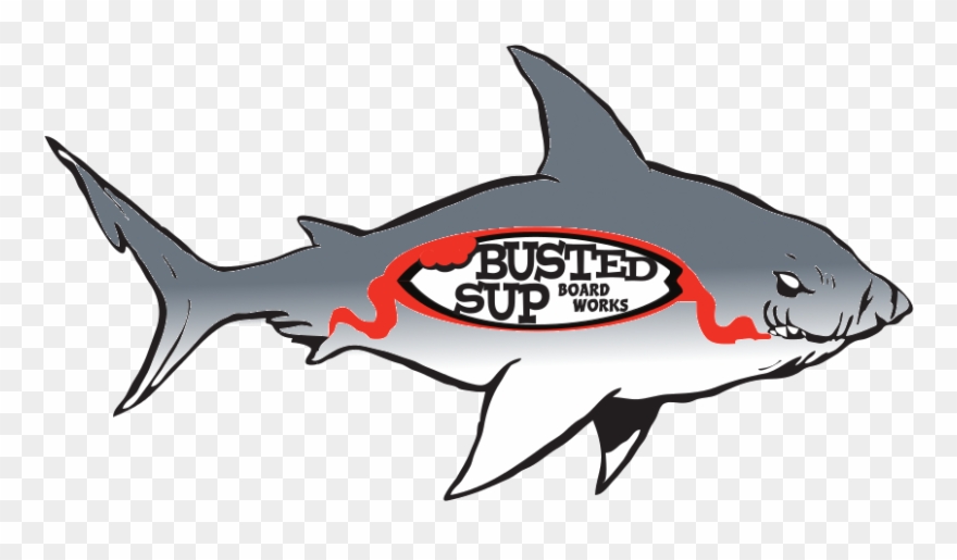 Boards Get Damaged, And Need Repair - Shark Colouring Pages Clipart