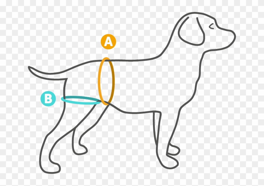 A - Dog Catches Something Clipart