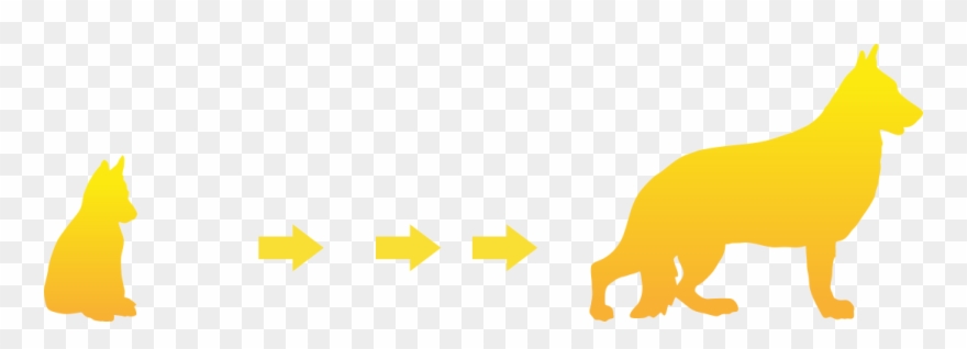 We Can Do This On A Daily Basis Or Board Your Dog When Clipart