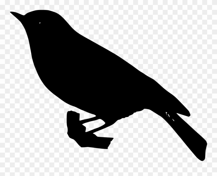Info - Crow Clipart