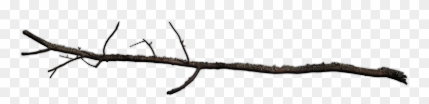 Picture And Hd Wallpapers X-wing Star Wars Symbol Star - Branch Png Clipart