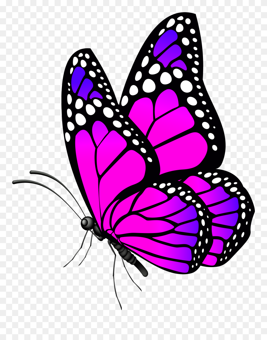Free Desktop Wallpaper Butterflies Flowers - Butterfly Png Clip Art Transparent Png