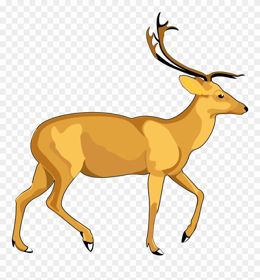 Deer Vector Png Transparent Image - Deer Vector Png Clipart