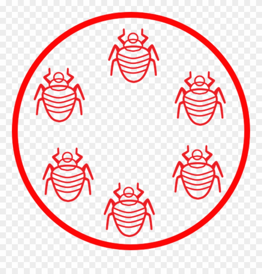 Bed Bug Life Cycle - Bed Bug Bite Clipart