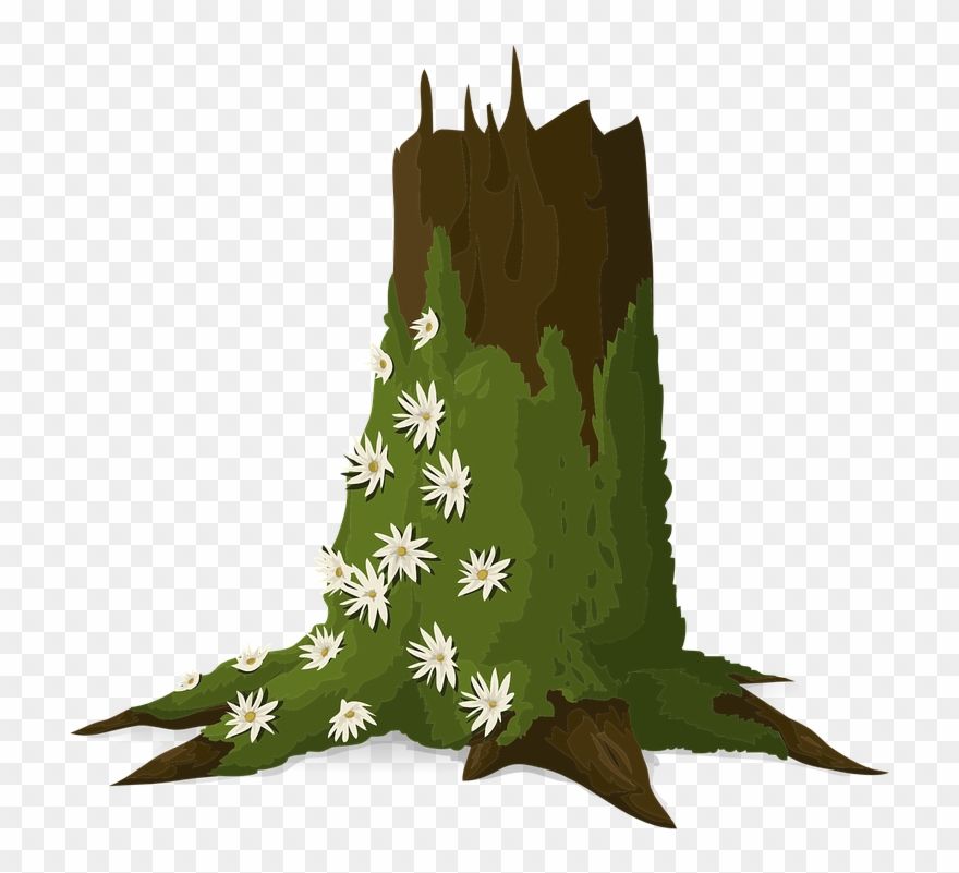 Mosses - Moss On Tree Cartoon Clipart