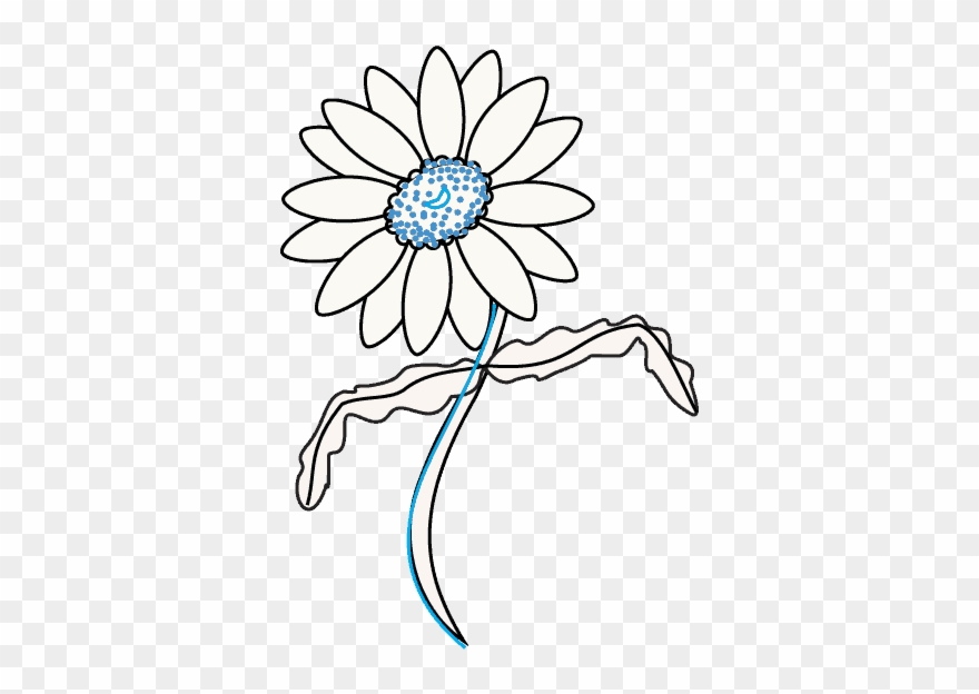 How To Draw A Daisy Easy Drawing Guides - Daisy Draw Out Flower Clipart