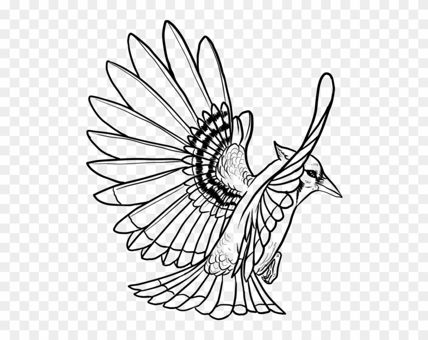 Autodesk Sketchbook Pro Clipart