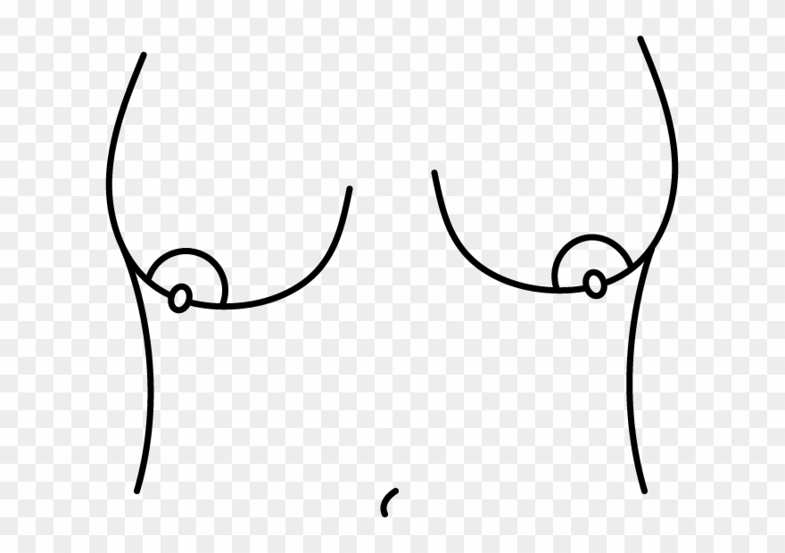 Savais-tu Que Tout Ton Corps Au Complet N'est Pas Symétrique - Line Art Clipart