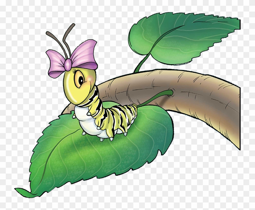 790 X 646 Backwqards - The Story Of Henrietta Caterpillar Clipart