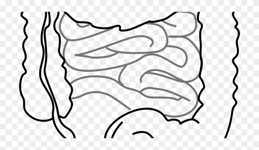 Ingestible Devices Sense Movement And Ingestion In - Small Intestine Black And White Clipart