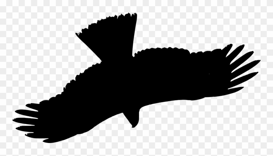 Vector Graphics,free Pictures - Bird Clipart