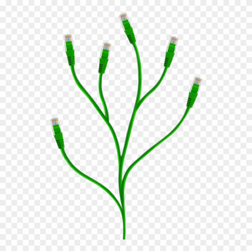 Grow Your Business - Cabo De Planta Clipart