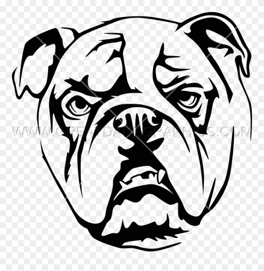 Tan Bulldog - Illustration Clipart