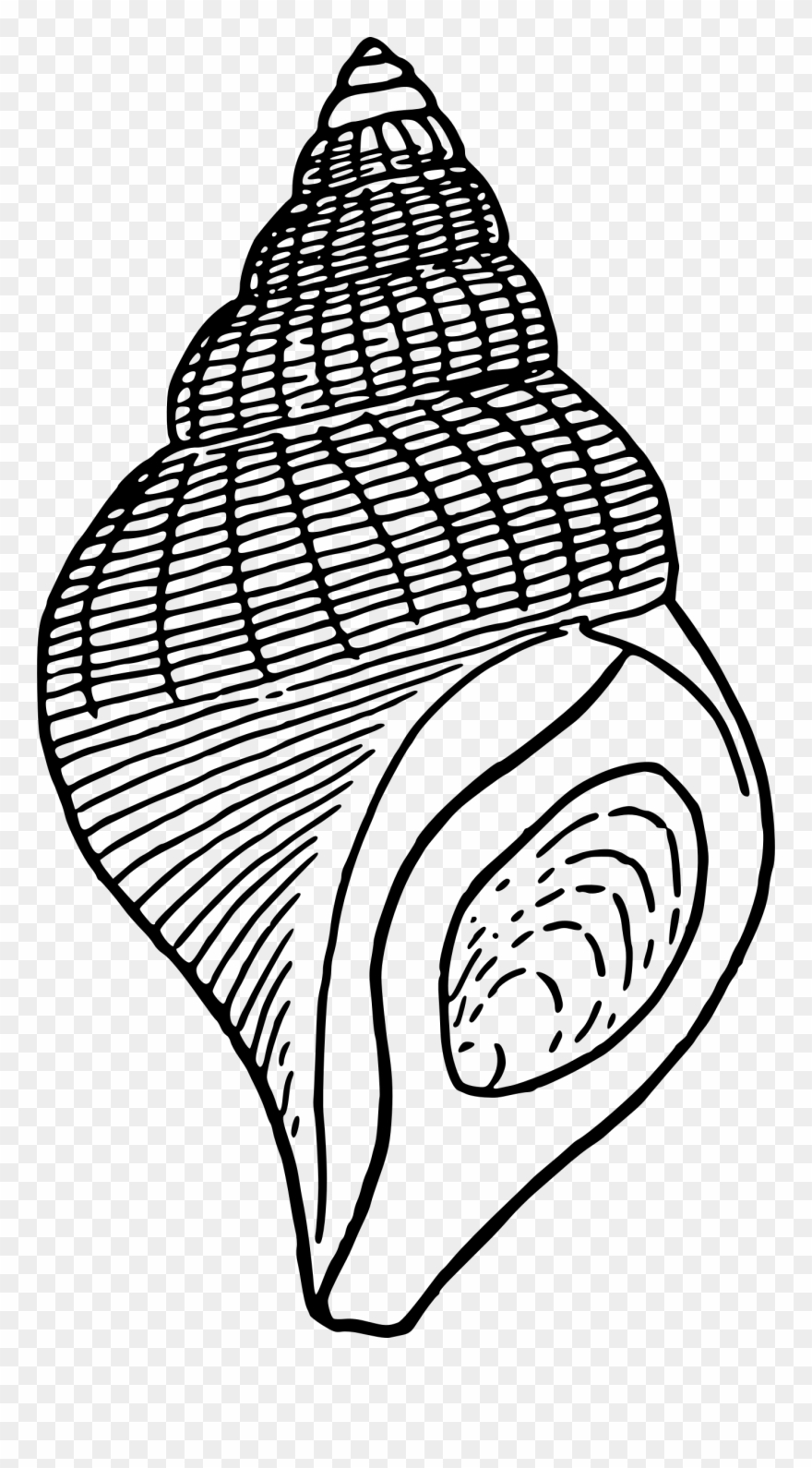 Big Image - Shanghai Maglev Train Clipart