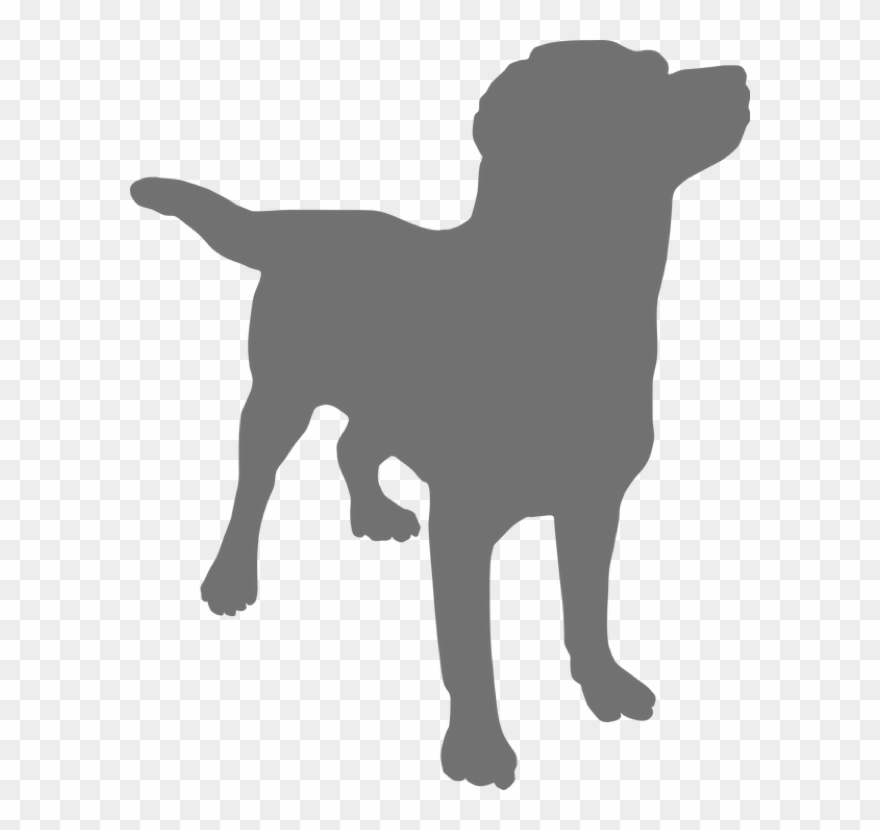 All Too Often You May Come Across An Advert In Your - Dog Silhouette Png Grey Clipart