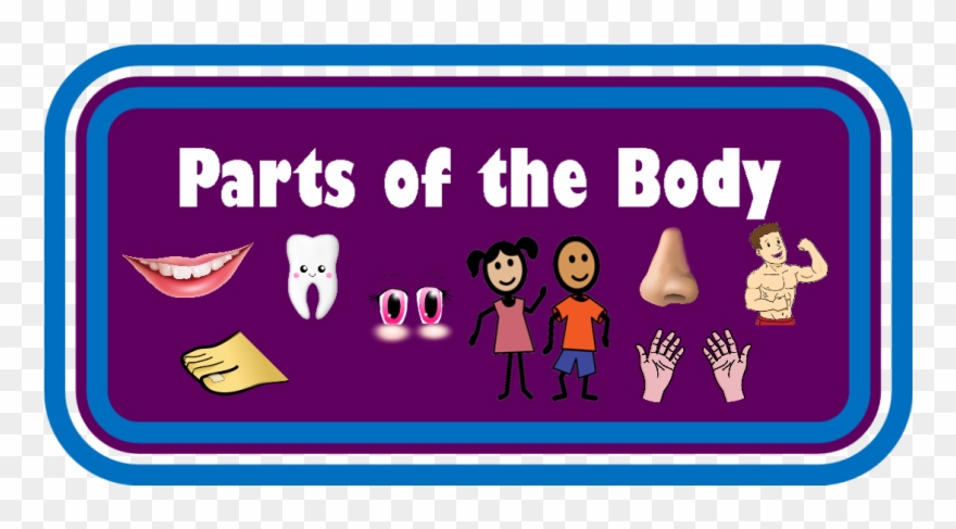 Parts Of The Body - Pumpkin Clipart