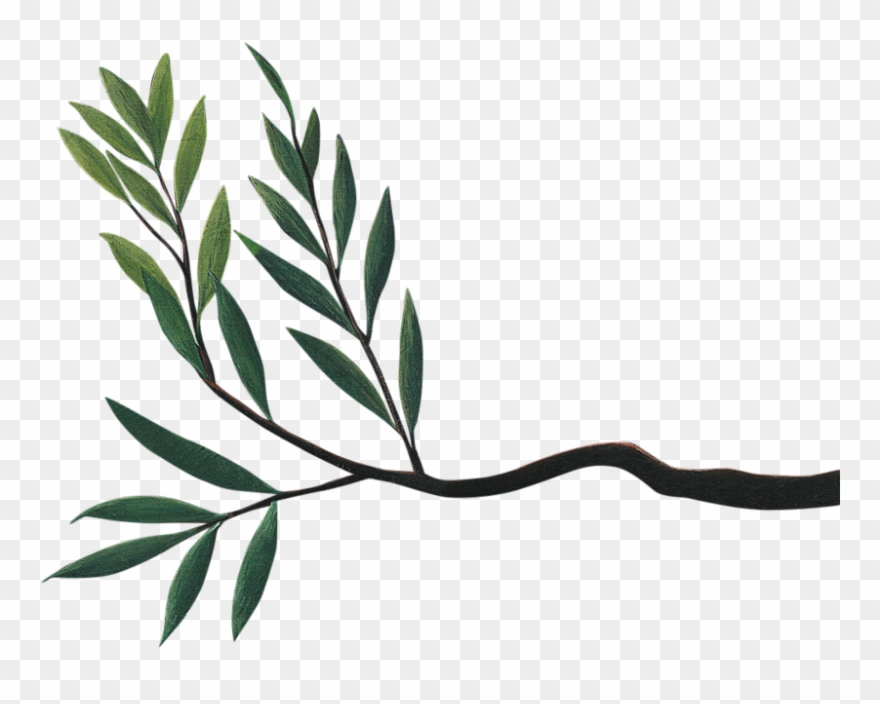 Wilderness, Which Defies All Attempts To Capture It Clipart