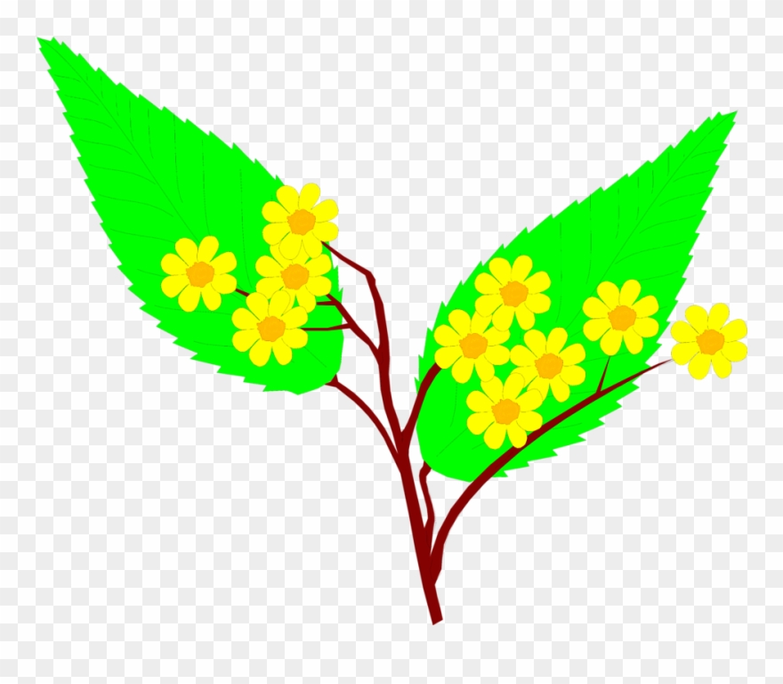 Free Stock Photos - Stock Photography Clipart