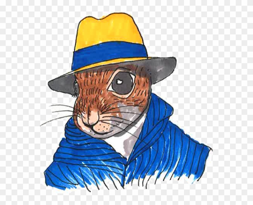 Clockwise From Top-left - Cartoon Clipart